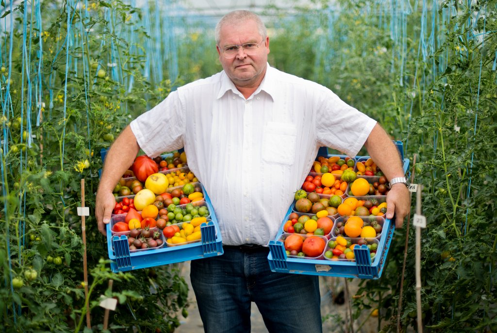 Bauer pflanzt über 300 verschiedene Tomatensort. dpa