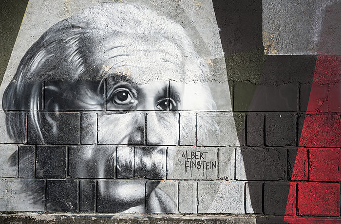 Albert Einstein. Pazifist & Nobelpreisträger im Kreuzfeuer diffamierender Propaganda