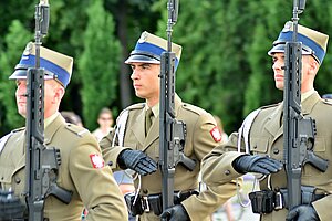 Intermarium - Polen wird zur US-Hand in Europa