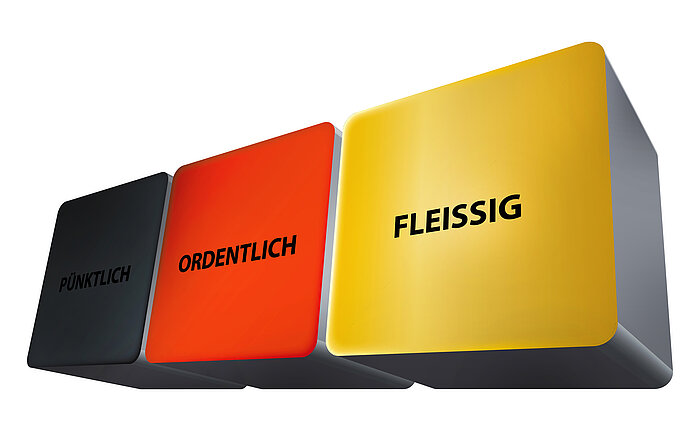 Der deutsche Sonderweg 