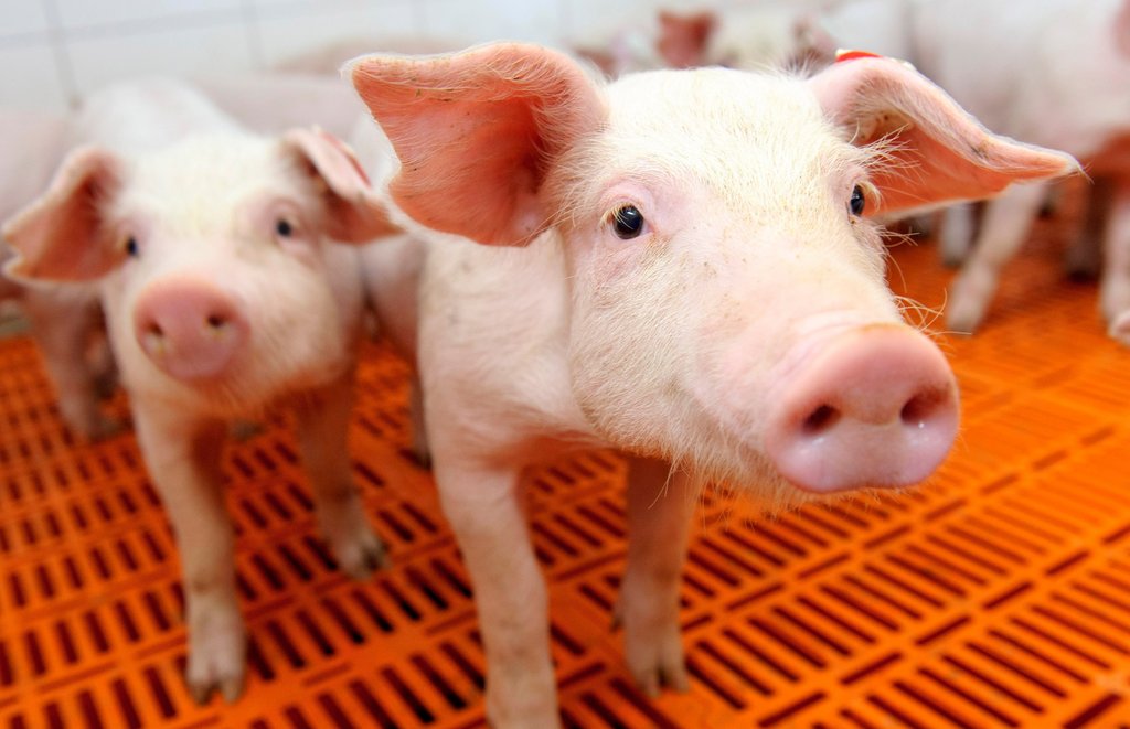 Landwirtschaftliches Bildungszentrum. Foto: dpa