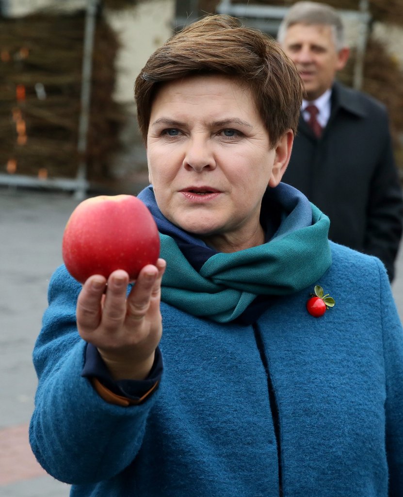 Law and Order candidate for Prime Minister Beata Szydlo/dpa