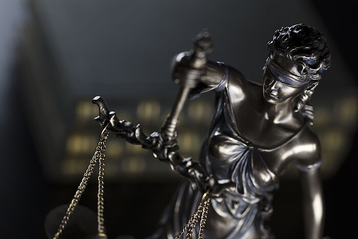 Mitte Januar 2019 trat der Präsident des Bundesamtes für Verfassungsschutz (BfV) vor die Presse und machte Ausführungen zur Tätigkeit seiner Behörde bezüglich der Partei AfD. Unter anderem teilte er sinngemäß mit, dass die Partei „als Prüffall 