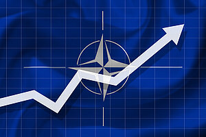 Trident Juncture. Wie unvollkommen ist die NATO?