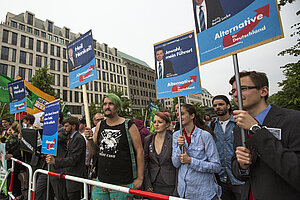 Zur politischen Rolle der AfD