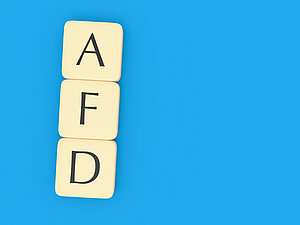 Zur politischen Rolle der AfD