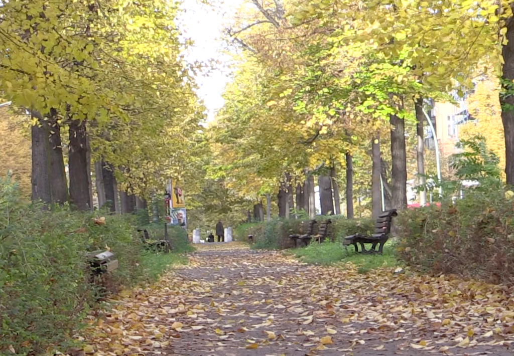 Herbst in Berlin / WE